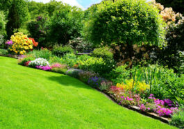 Gartengestaltung digital planen