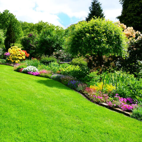 Gartengestaltung digital planen
